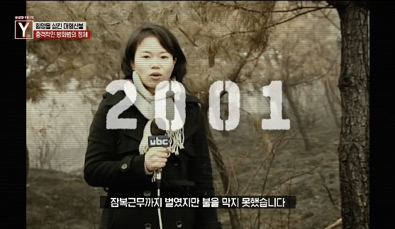 이번에 불다람쥐가 새롭게 불태운 우리 산간 면적 | 인스티즈