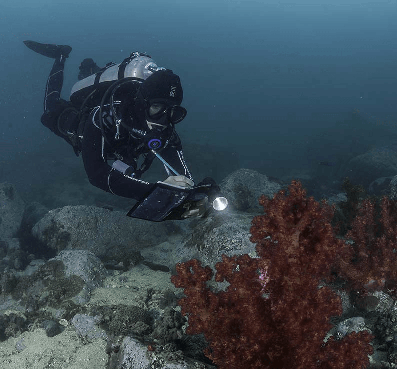 24b0d121e09c28a8699fe8b115ef046b6b6f97332a