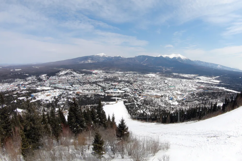 24b0d121e09c28a8699fe8b115ef0464df8febc1ea