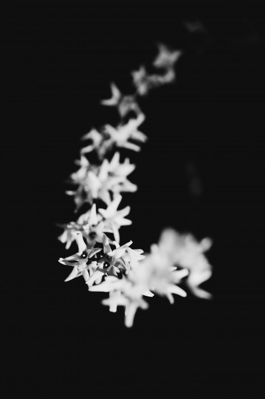 0f98f57fc6826bf723e8f3e4469c70186d17d88c6baf9e16b6cbe761bab7317e15c8b1769304fccb09690eb4223202ea188655e112