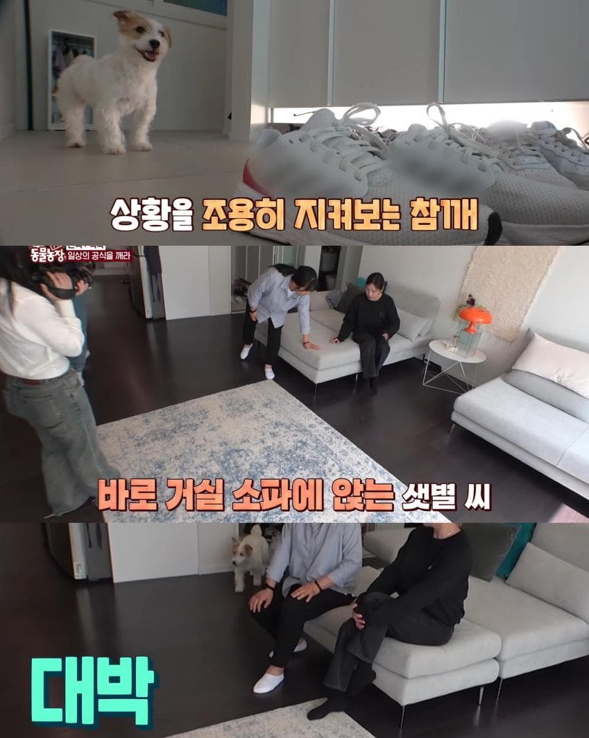 7cea9e2cf5d518986abce8954285726c735f