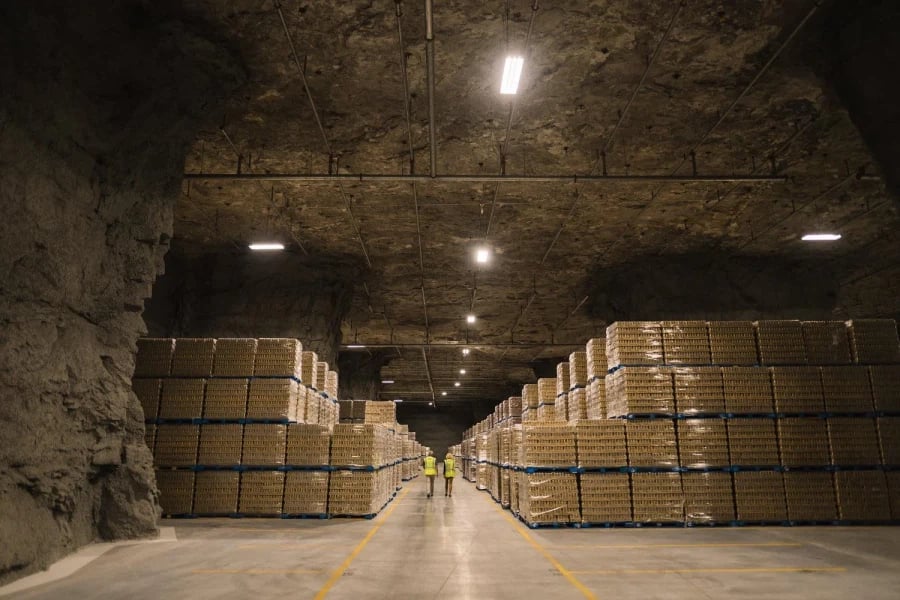 미국 비만율 급상승에 일조한 정부 배급 식재료 레전드_3.webp