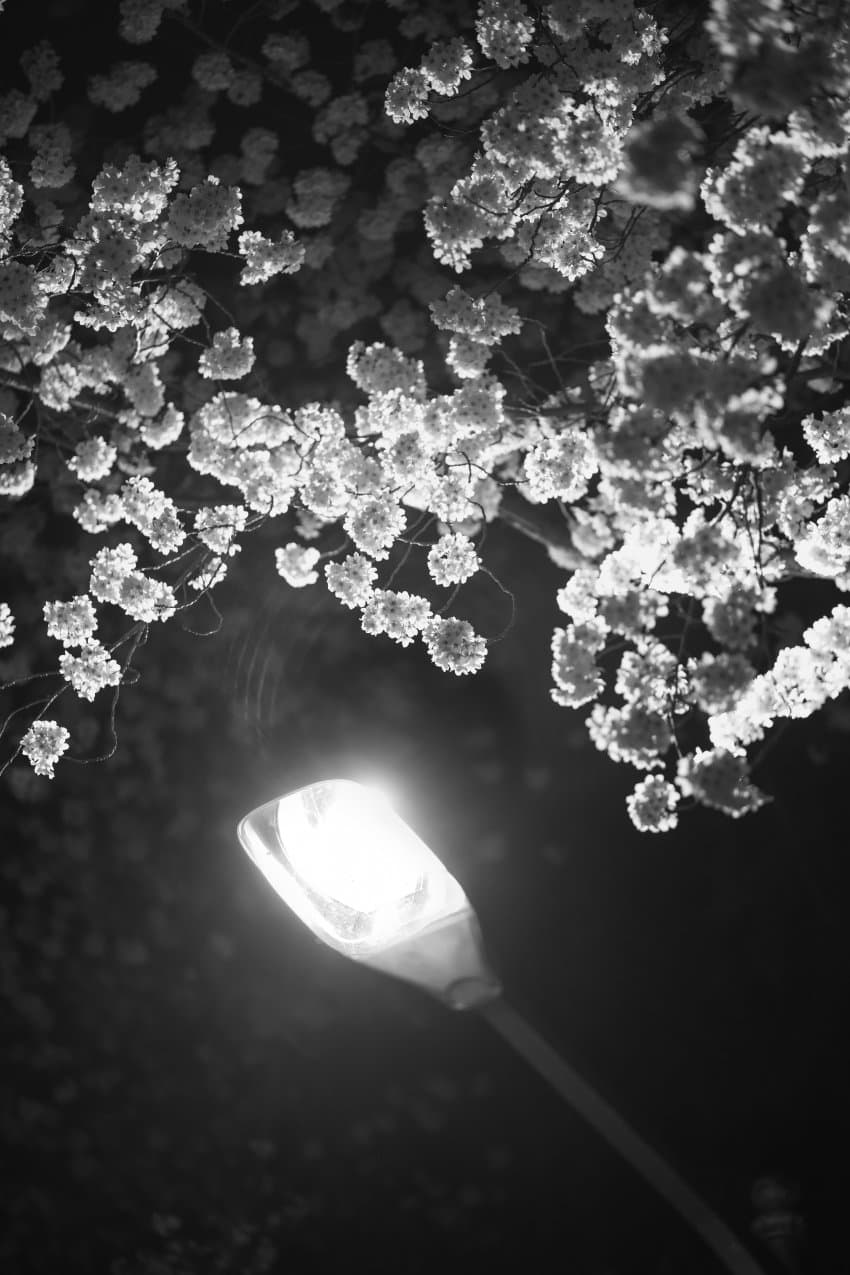 79eaf502c7846ff1239bf596469c701891ecc3f1ed929295c5a535aea4de57fee48c4e8a90a6bed39f89ee08bda895a62f62dd29b2