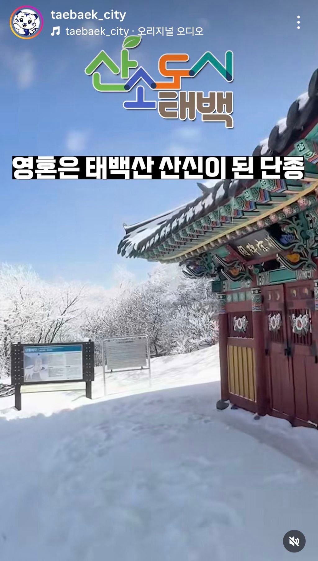 [ 왕사남 흥행 열풍에 어떻게든 숟가락 얹는 지자체들 | 인스티즈