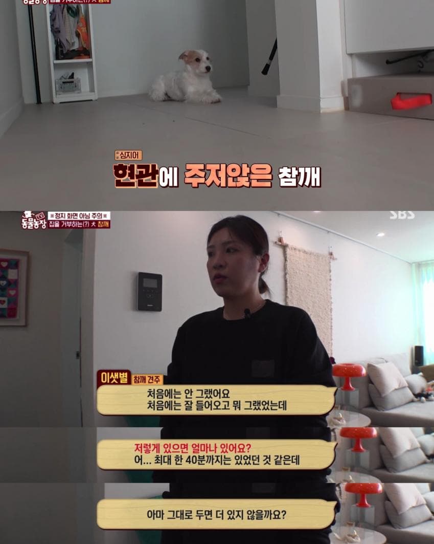 7cf3da36e2f206a26d81f6e64584716b37