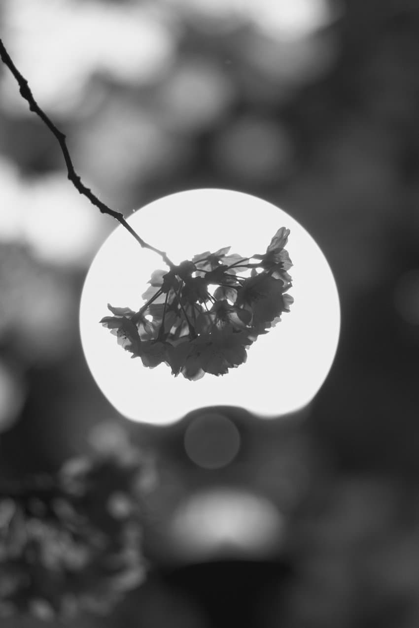 7c9c8177b6841df423e98fe6439c7065b14fe36a27a5f67e1a8d614bf5ad2230a18fe1e0c8c6e24090edfeccb910a59968966f546f