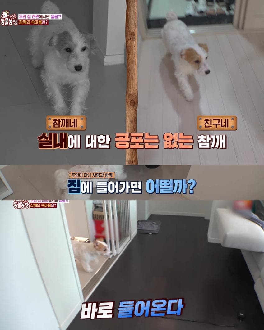 7cef9e2cf5d518986abce89545857d6c1fb3