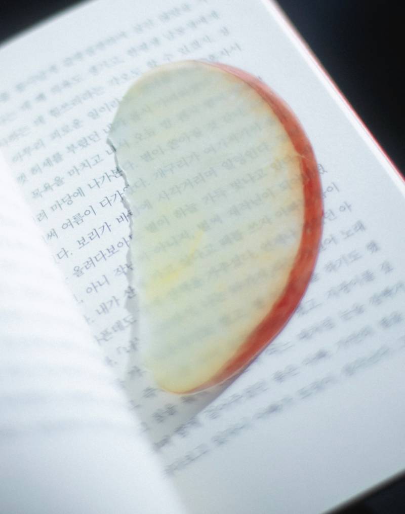 [잡담] 사과 책갈피 사천원이래 | 인스티즈