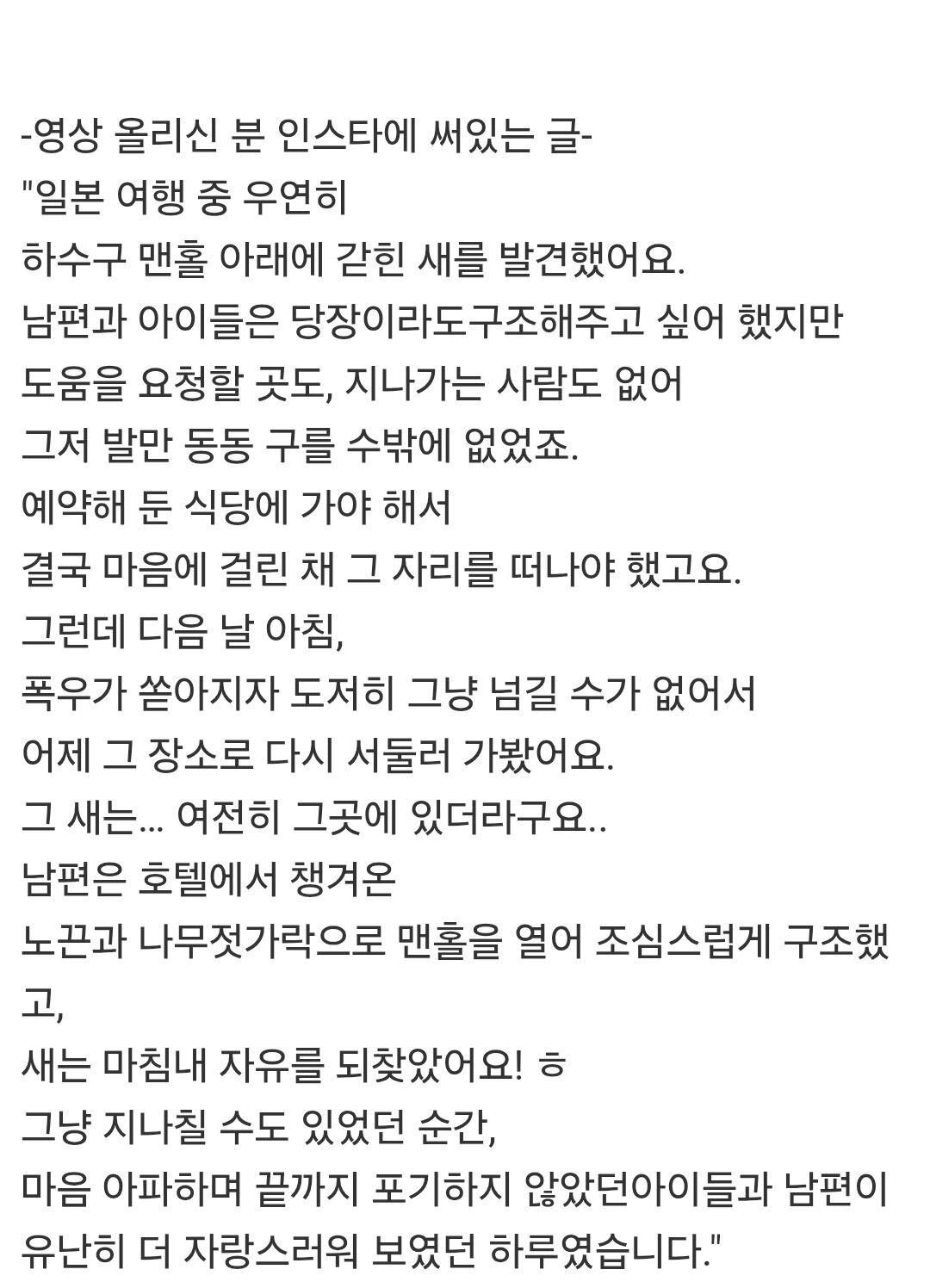 클릭하시면 원본 이미지를 보실 수 있습니다.