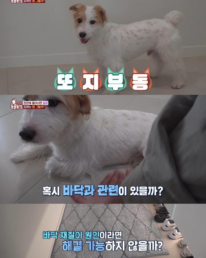 7af3da36e2f206a26d81f6e641877c65f8