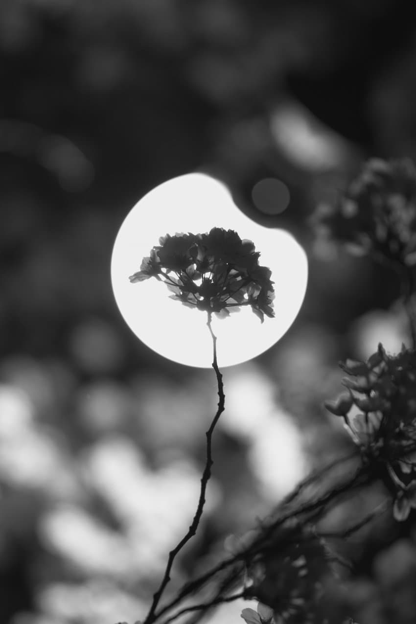 089ef171bd8060f523e6f094379c701b715e37645aad8774779d9f6112606bd4a5aa7142dadfb5a3b3464e5e77f0b6e685d7968314