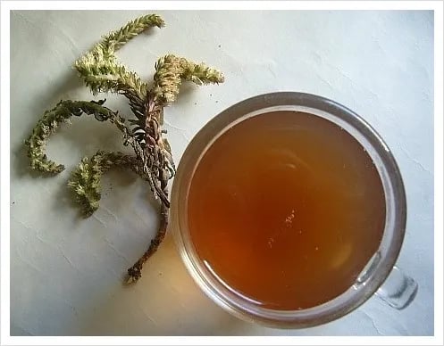 좋아하는 사람은 환장해서 먹는 우리나라 희귀 식재료 | 인스티즈