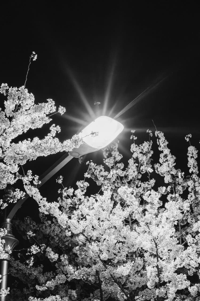 0998f304bcf36ef1239a83904e9c706a78bfa4b1dae658374a0a991d160905dd2b9c602ac8d85a396a0da632a00aff0929aa88bd4260