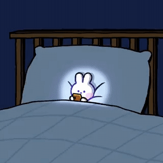 INTP는 진짜 대학원 가야되는지 궁금한 달글 | 인스티즈