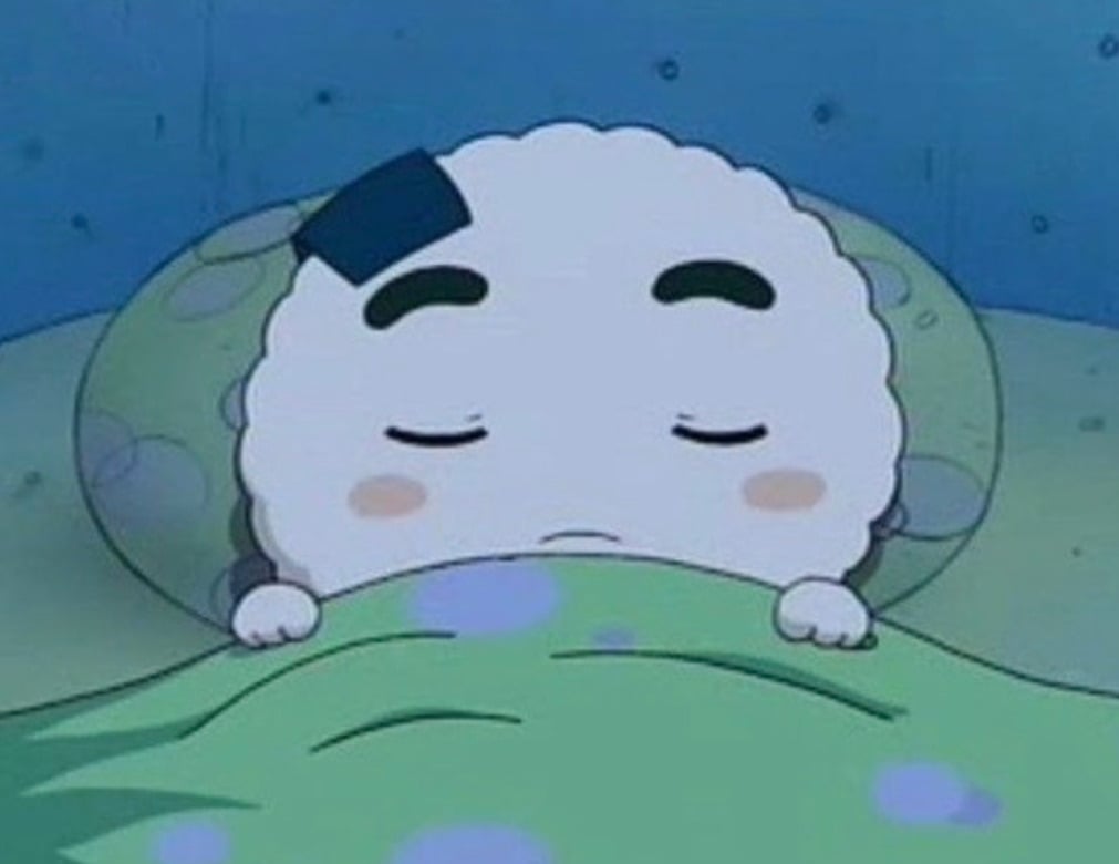 서로 이해 못한다는 자고 일어난 후 습관 | 인스티즈