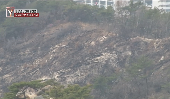 이번에 불다람쥐가 새롭게 불태운 우리 산간 면적 | 인스티즈