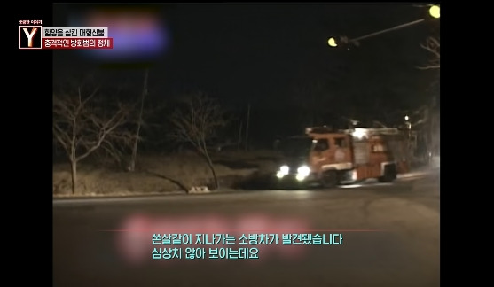 이번에 불다람쥐가 새롭게 불태운 우리 산간 면적 | 인스티즈