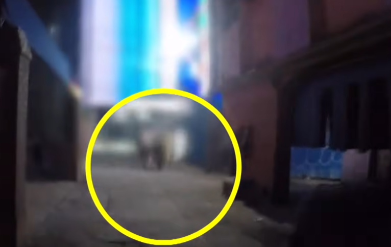 24b0d121e09c28a8699fe8b115ef046ec940c2f02a