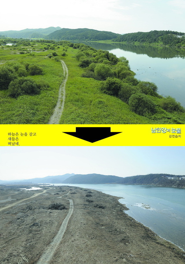 이번에 불다람쥐가 새롭게 불태운 우리 산간 면적 | 인스티즈