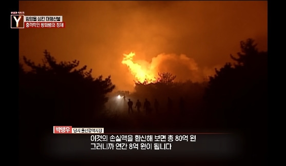 이번에 불다람쥐가 새롭게 불태운 우리 산간 면적 | 인스티즈