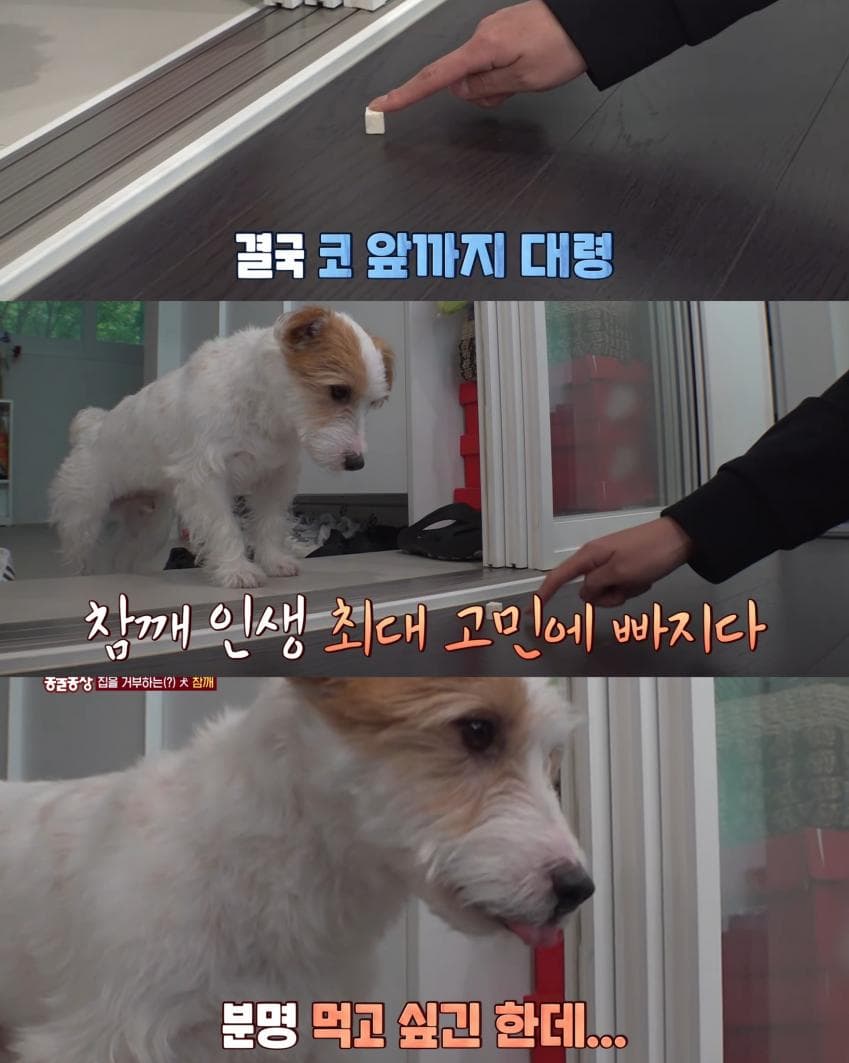 7ef3da36e2f206a26d81f6e64f82756ebe