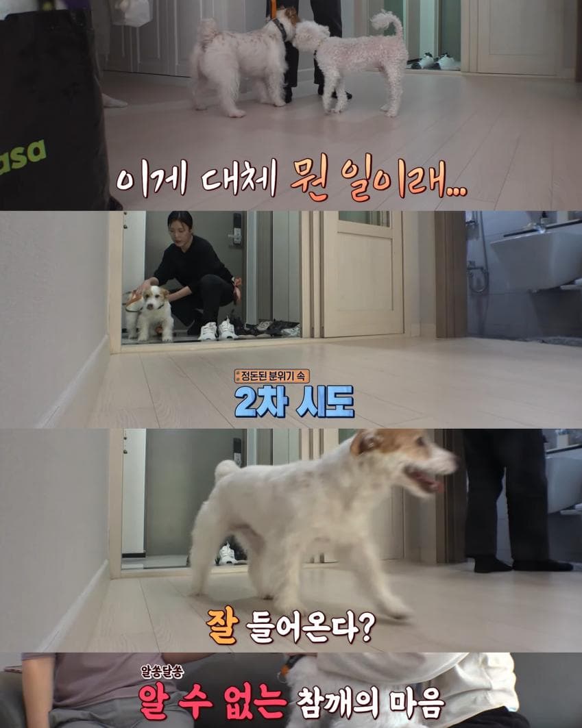 74f3da36e2f206a26d81f6e64e82756b25