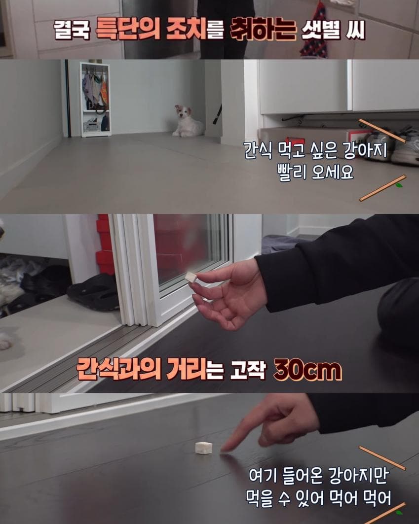 7ff3da36e2f206a26d81f6e64280756aad