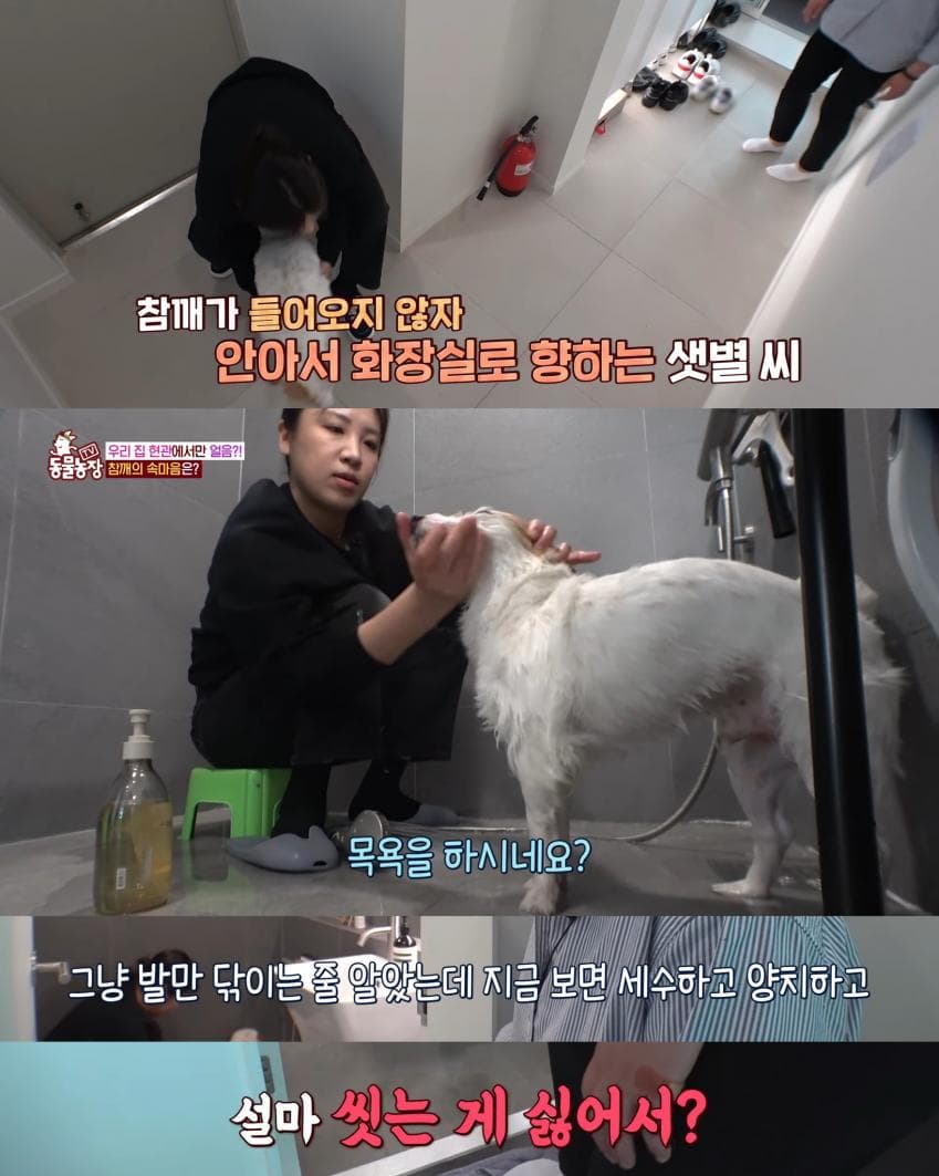 7ce99e2cf5d518986abce89542817d692695