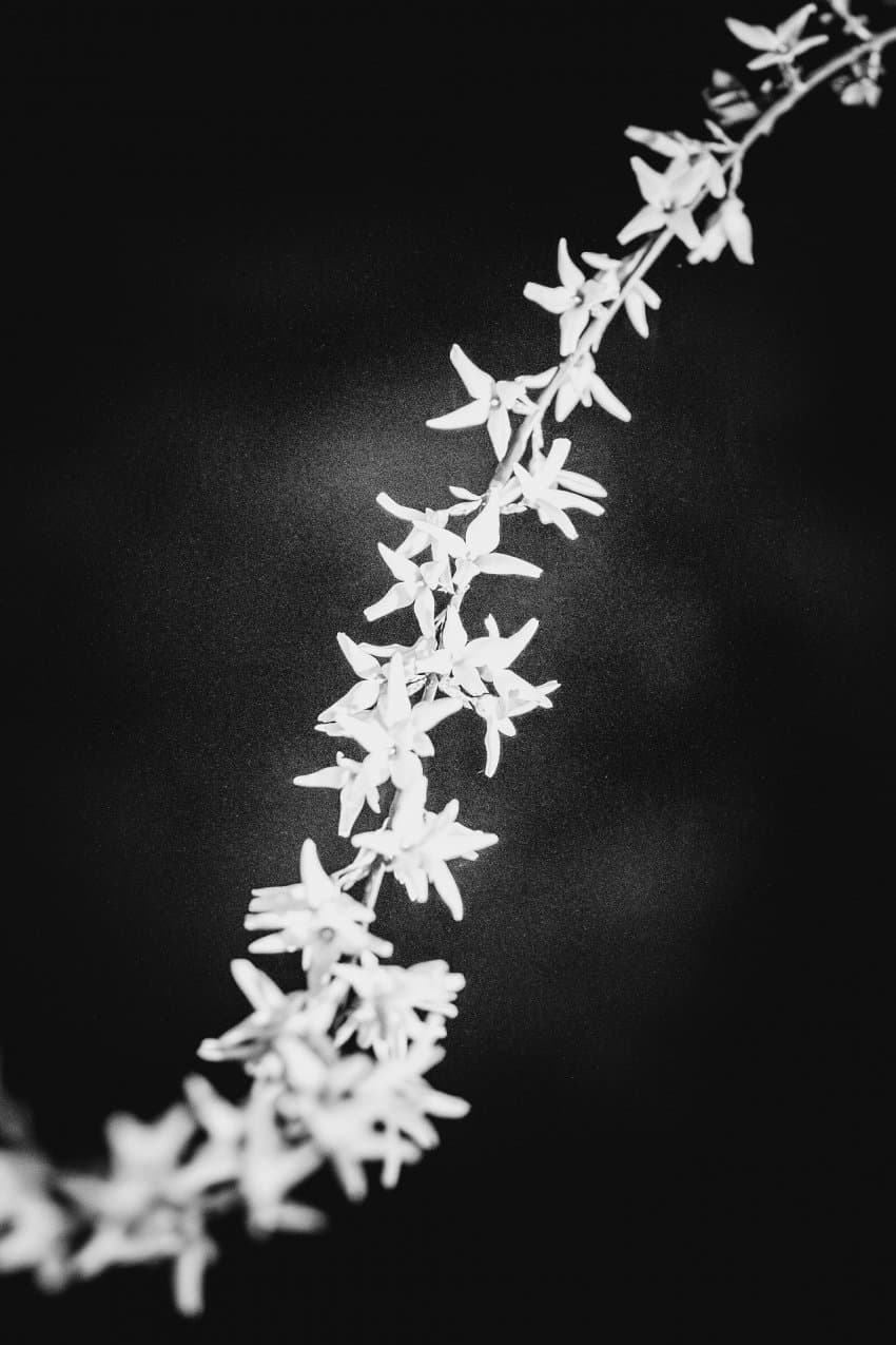 7c99f303b1f41eff239bf0ec479c701e423479a46c8fa02efea7a68e864efea77e9fca1b7f3123108424651259449480942eec25cd