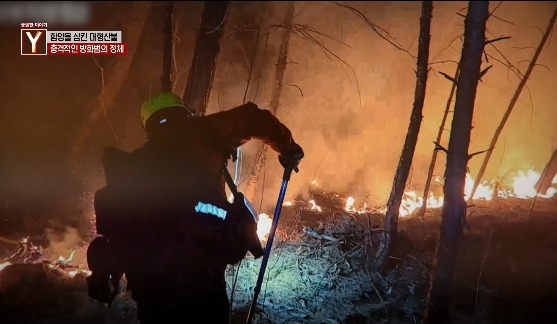 이번에 불다람쥐가 새롭게 불태운 우리 산간 면적 | 인스티즈
