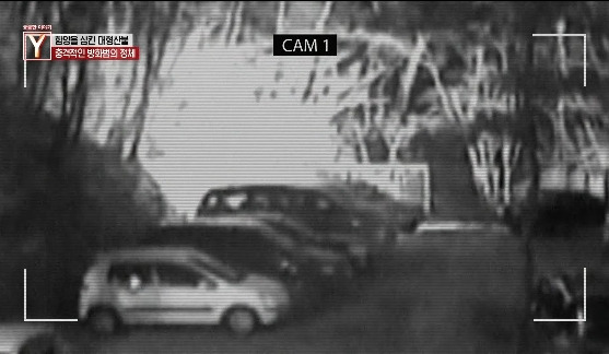 이번에 불다람쥐가 새롭게 불태운 우리 산간 면적 | 인스티즈