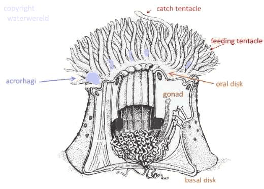 24b0d121e09c28a8699fe8b115ef046c68f12f4698