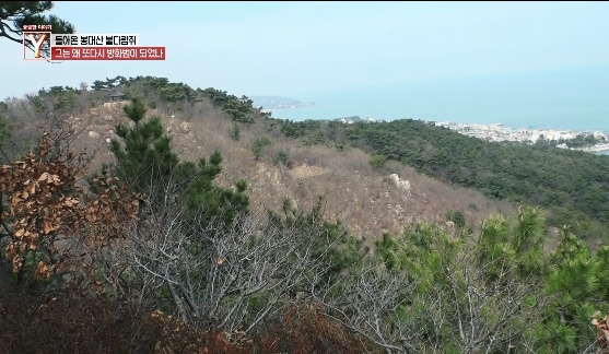 이번에 불다람쥐가 새롭게 불태운 우리 산간 면적 | 인스티즈