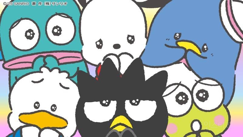 산리오 캐릭터즈 고정 선발 멤버들.....JPG | 인스티즈