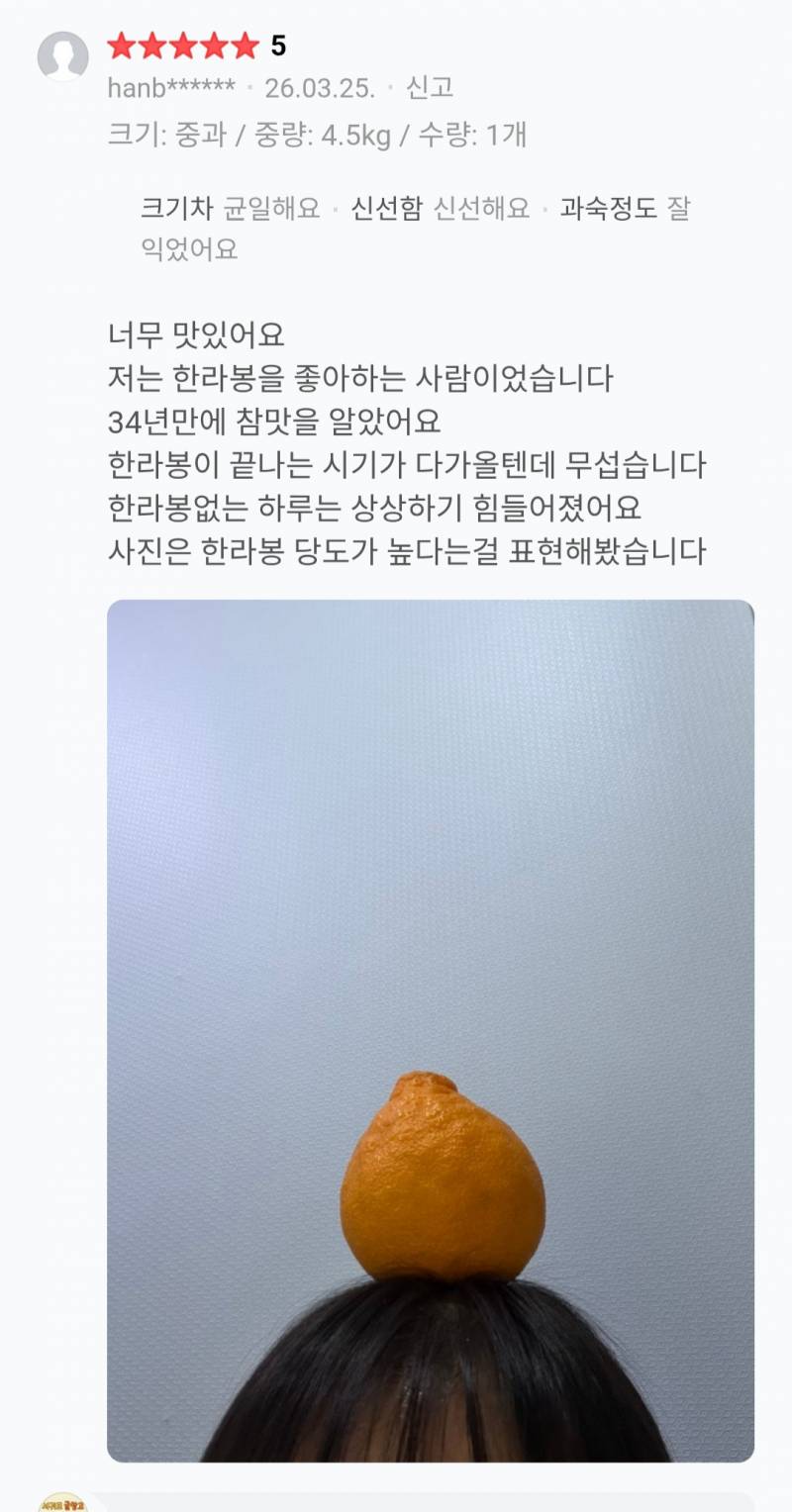 [잡담] 이 리뷰 쓴사람 개귀여워 | 인스티즈