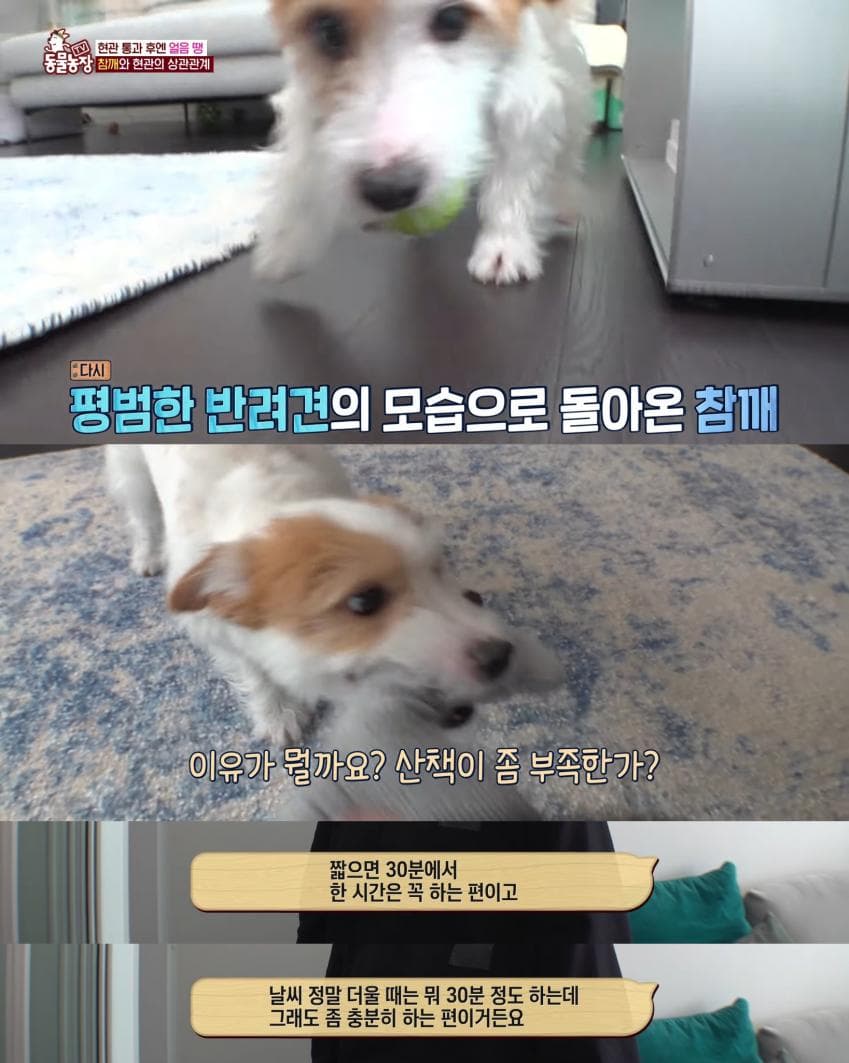 78f3da36e2f206a26d81f6e14587736f00