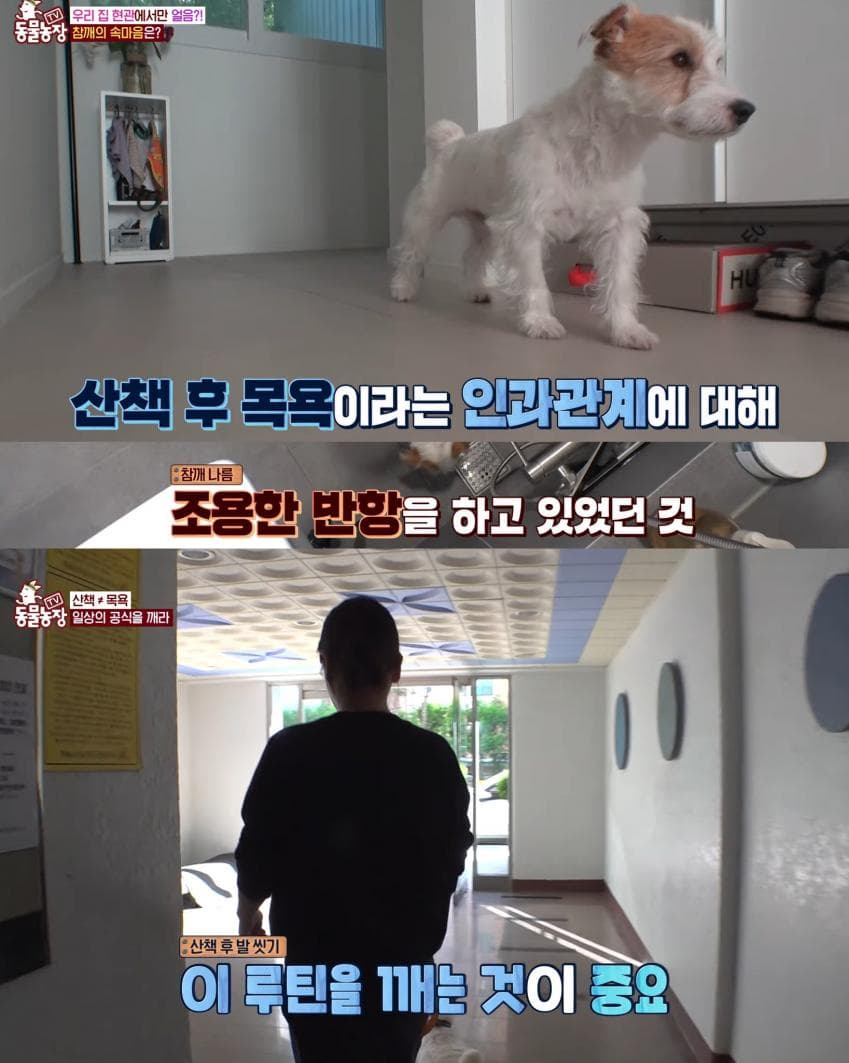 7ceb9e2cf5d518986abce8954586766c53de