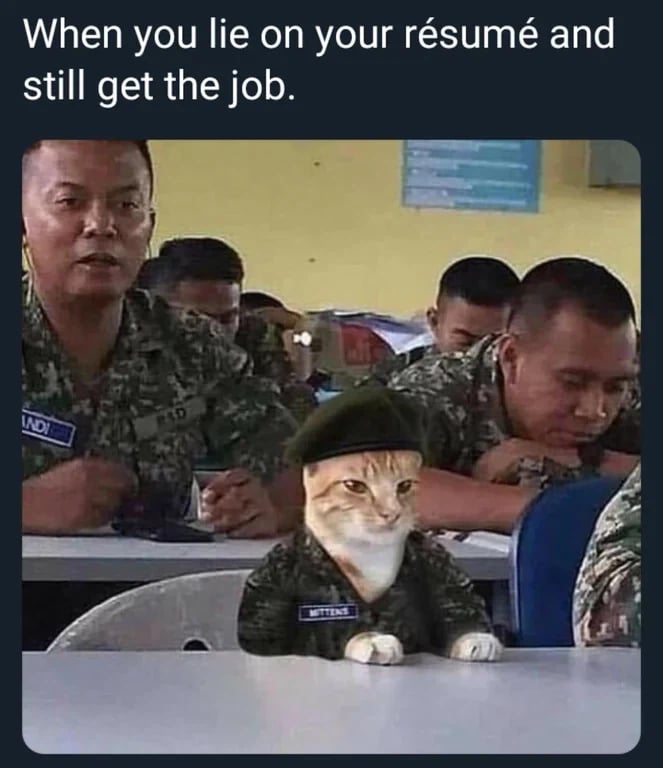 이력서에 거짓말을 적긴 했지만 취직했다_1.webp