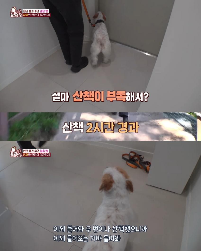 7bf3da36e2f206a26d81f6e741827c6db2