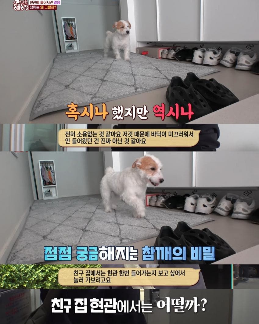 75f3da36e2f206a26d81f6e140857d6b9f