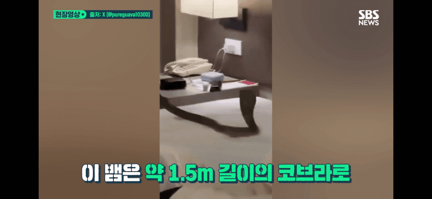 0cef8477b68a1c85239af5e4309c701f360bd10b2cbf697d892c0857a00452a2167fa838f9ecb16dc78d414bb583d7e0475334