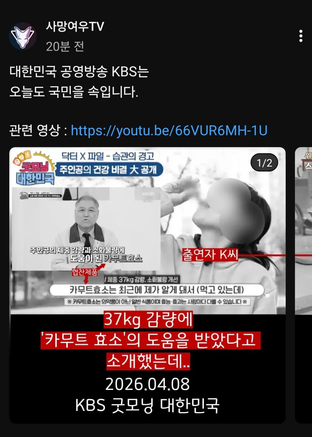 유튜브채널 '사망여우' 방금자 근황 feat. KBS 한국방송