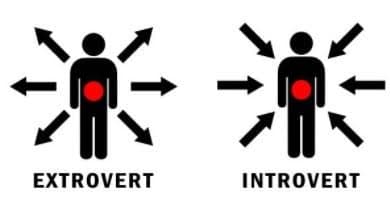 24b0d121e0c170f43ff698bf06d4231dd5843aa14fee7b2469