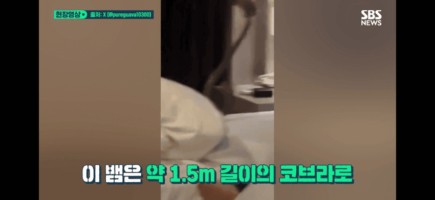 74eff472c7f16882239c83e2439c706d35bc0915e9fe94f83e32c251b21c52e90a41fc4a1d654ecee933831439d3cc30a81466