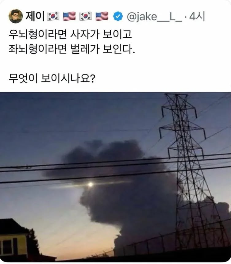 image.png 이걸 보고 무엇이 보이시나요?