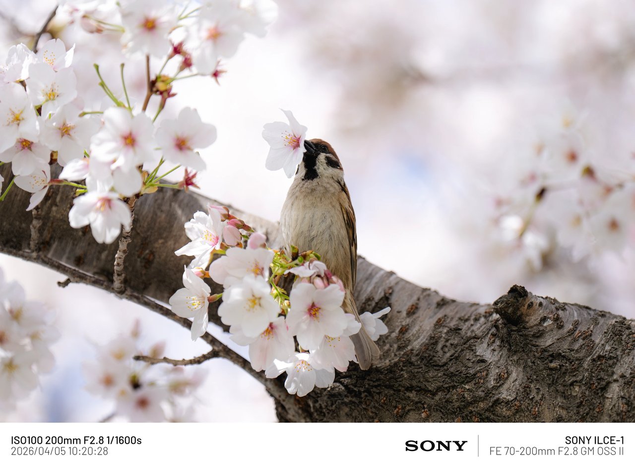 7cea8773b0836df03ae684e14f9f3338159d7b00a587b125a0fdd76be208