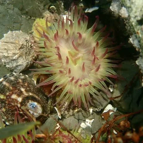 24b0d121e09c28a8699fe8b115ef0469963afeb9fe