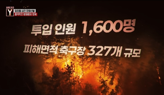 이번에 불다람쥐가 새롭게 불태운 우리 산간 면적 | 인스티즈