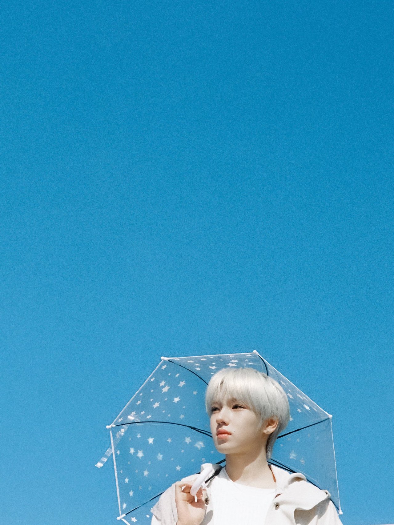 [잡담] 위시 지금 정규 프로모 돌리는거 에바(p) | 인스티즈