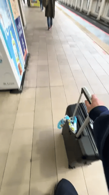 7ff3c723e7c218986abce8954287746b6a43